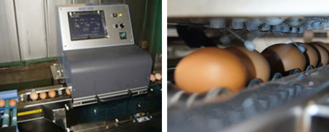 卵殻強度測定装置