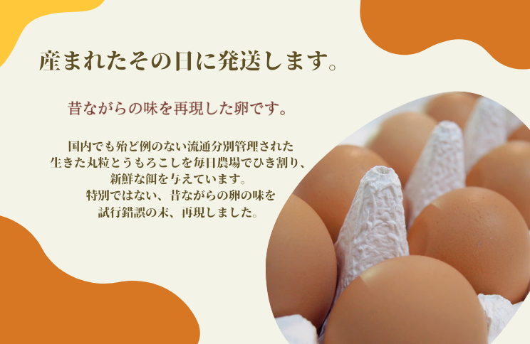売れ筋ランキングも掲載中！ 業務用 QP キューピー 乾燥卵白 Kタイプ 1kg お菓子作り ダイエット 卵白 乾燥 たまご 卵 
